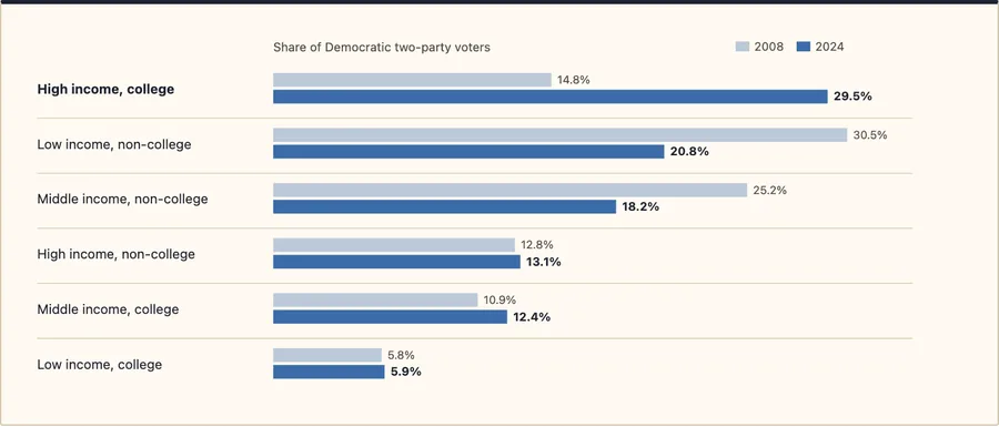 Who Democratic voters are